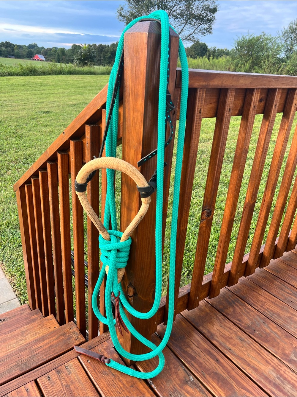 Bosal set up